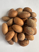 Load image into Gallery viewer, 100g African Nigerian Orogbo Native Natural Organic Bitter Kola Nut Garcinia Kola