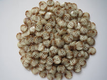 Load image into Gallery viewer, 10 CREAM n BROWN Buttons 18mm Wide Dresses Tops Coats Babies Blazers Shirt Sewing Craft
