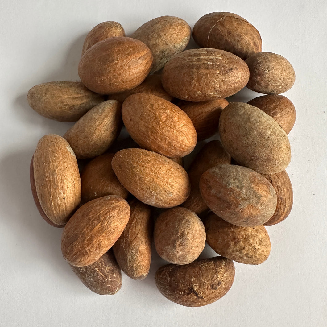 100g African Nigerian Orogbo Native Natural Organic Bitter Kola Nut Garcinia Kola